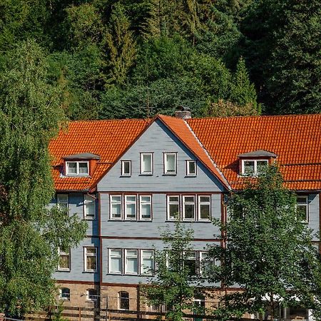 Fewo-Lerbachtal Osterode am Harz 외부 사진