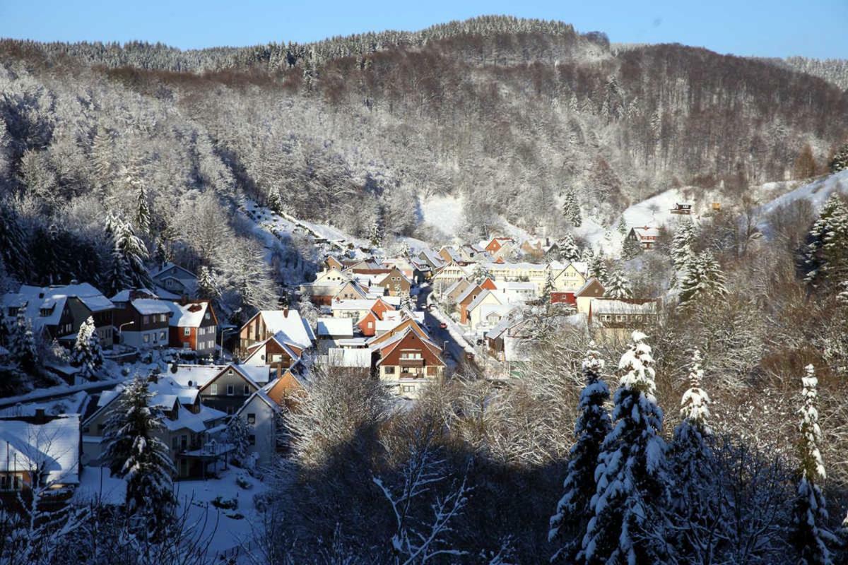 Fewo-Lerbachtal Osterode am Harz 외부 사진