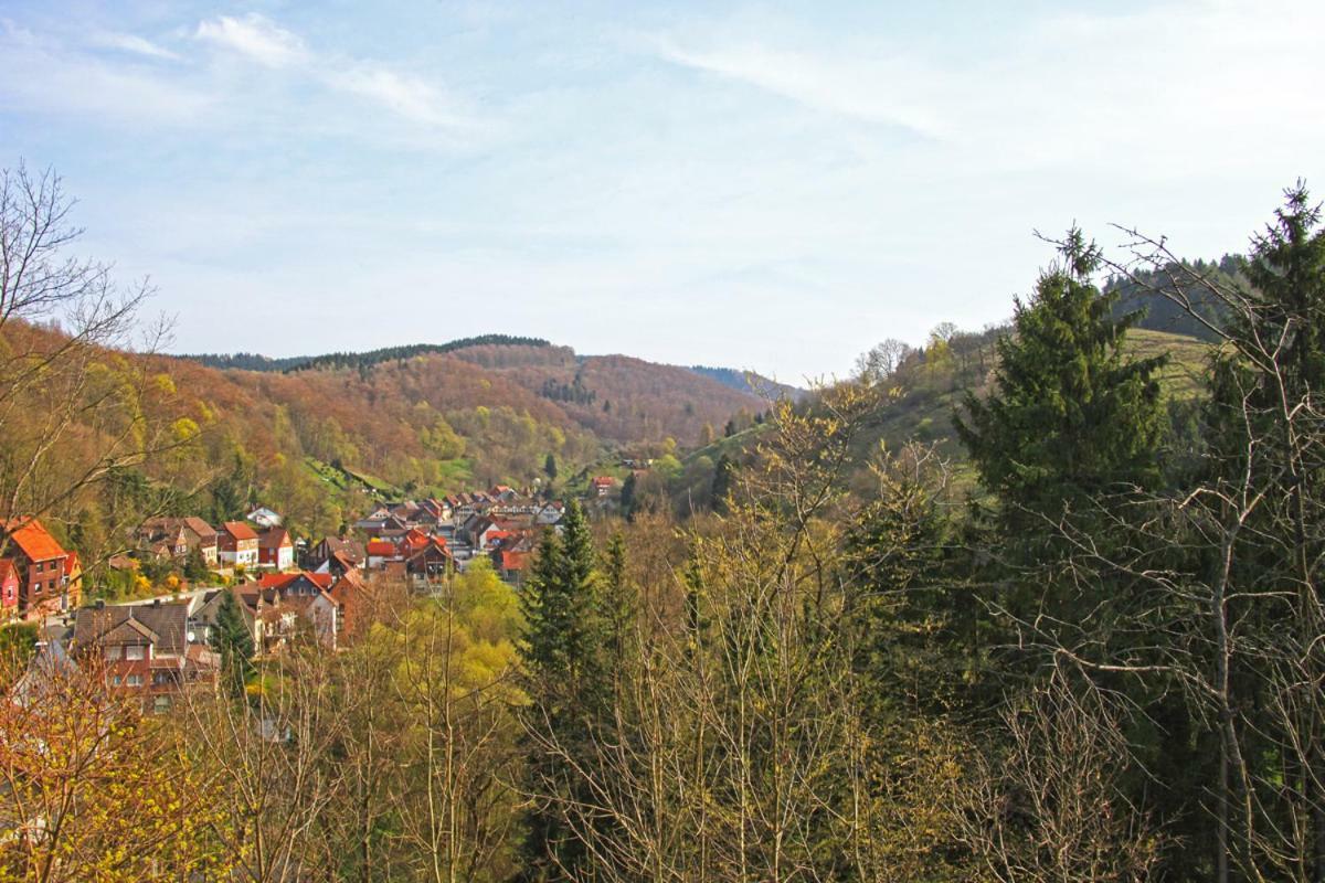 Fewo-Lerbachtal Osterode am Harz 외부 사진